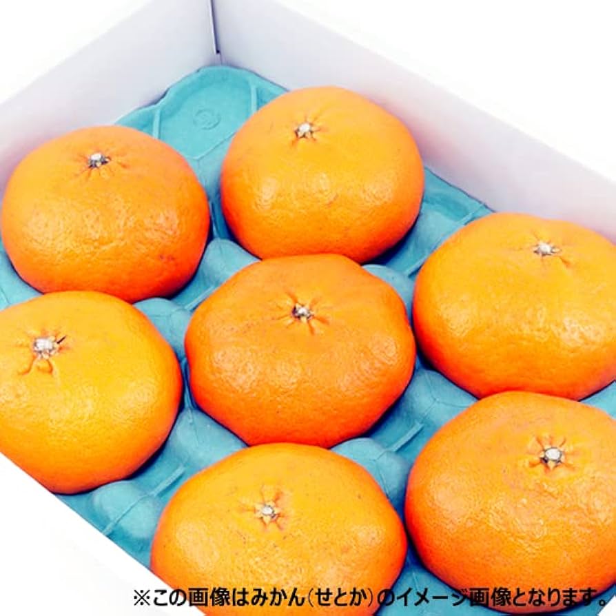 本日解禁！！高級柑橘！愛媛県産【紅まどんな】秀品 Lサイズ 15玉 3kg Amazon.co.jp: 愛媛県産 柑橘 みかん 紅まどんな 3kg (秀品/7